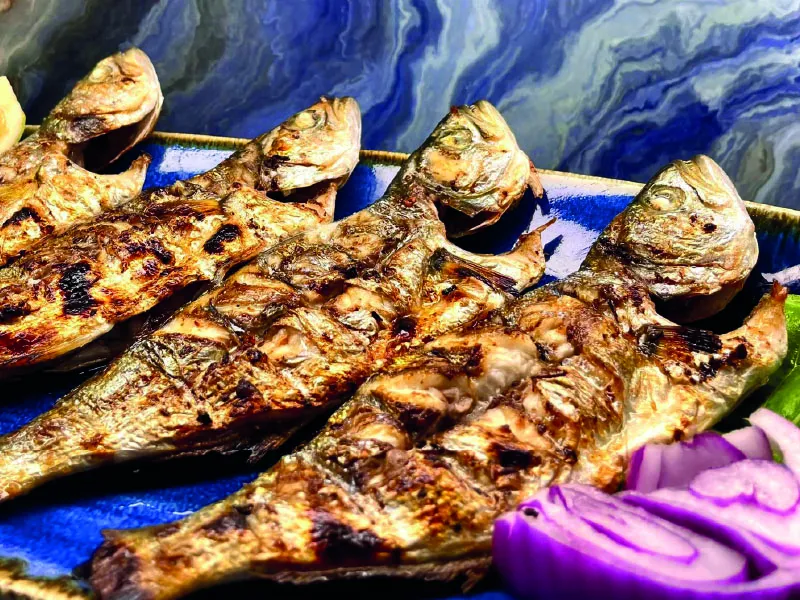 ÇİNEKOP IZGARA